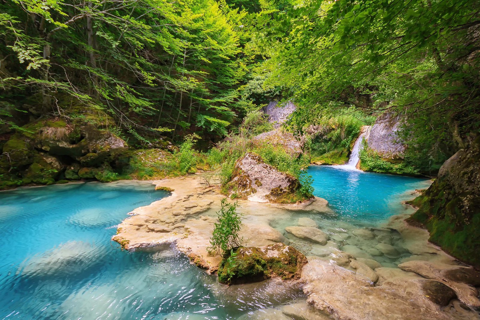 Naturaleza